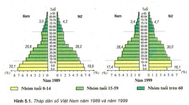 Giải Địa Lí 9 Bài 5: Thực hành: Phân tích và so sánh tháp dân số năm 1989 và năm 1999 (ảnh 1)