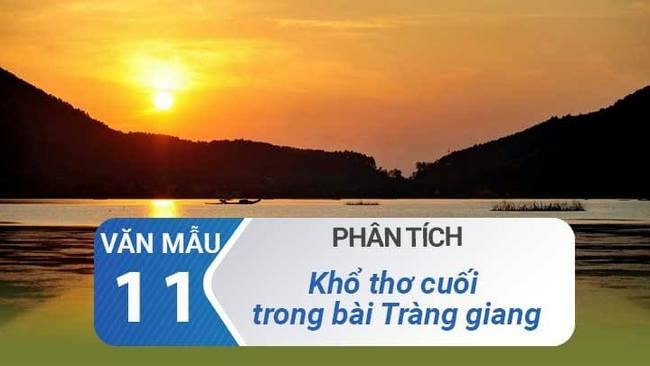 Top 15 mẫu Phân tích khổ cuối trong bài thơ Tràng Giang hay nhất (ảnh 1)