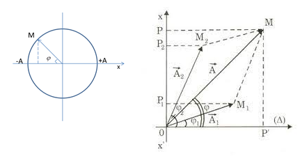 Giải Vật Lí 12 Bài 5: Tổng hợp hai dao động điều hòa cùng phương, cùng tần số. Phương pháp giản đồ Fre-nen (ảnh 1)