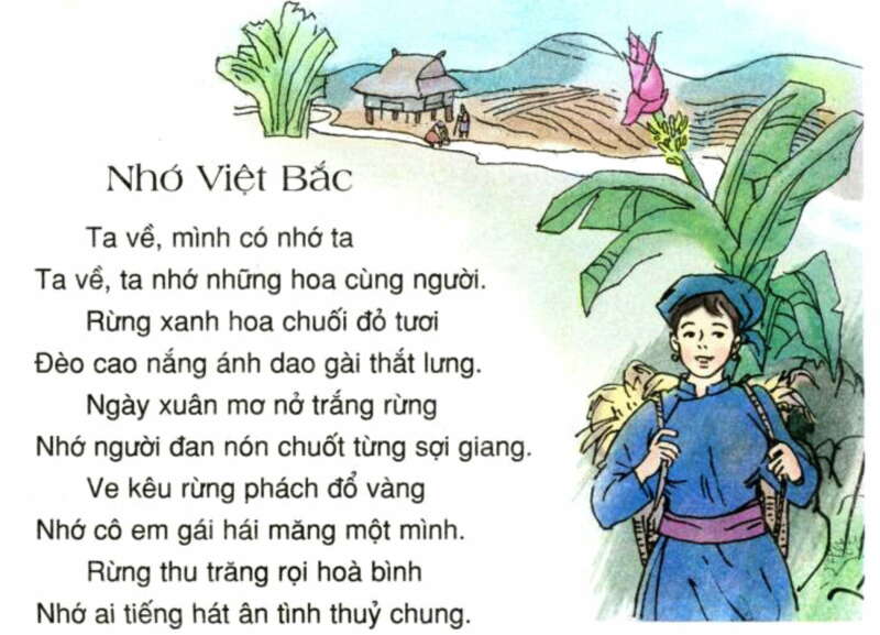 TOP 20 Đoạn văn trích dẫn Việt Bắc ngọt ngào, đằm thắm là một bài ca tâm tình, rất tiêu biểu cho hồn thơ (ảnh 1)