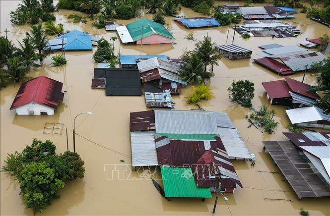TOP 10 bài Tóm tắt nội dung thuyết minh giải thích hiện tượng tự lũ lụt 2024 SIÊU HAY (ảnh 1)