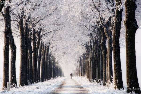 TOP 10 Đoạn văn về hình ảnh mang ý nghĩa tượng trưng đặc sắc nhất trong Con đường mùa đông (ảnh 2)