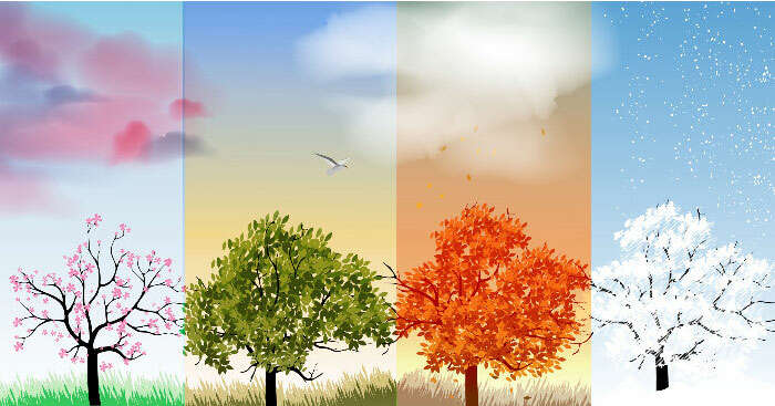 TOP 10 Sự thay đổi của thời tiết, cỏ cây,... khi mùa đông chuyển sang mùa xuân (ảnh 2)