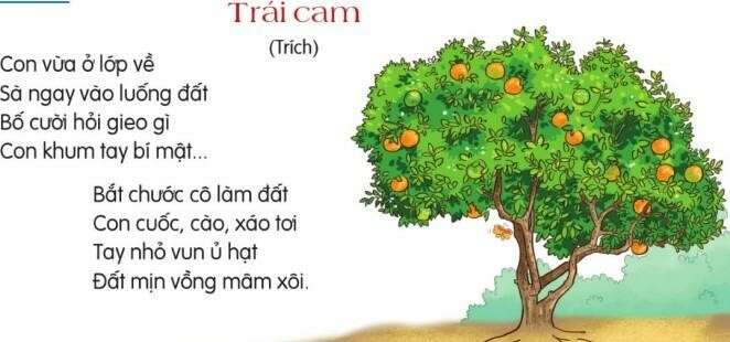 TOP10 bài Cảm nghĩ về bạn nhỏ trong bài thơ Trái cam 2024 SIÊU HAY (ảnh 1)