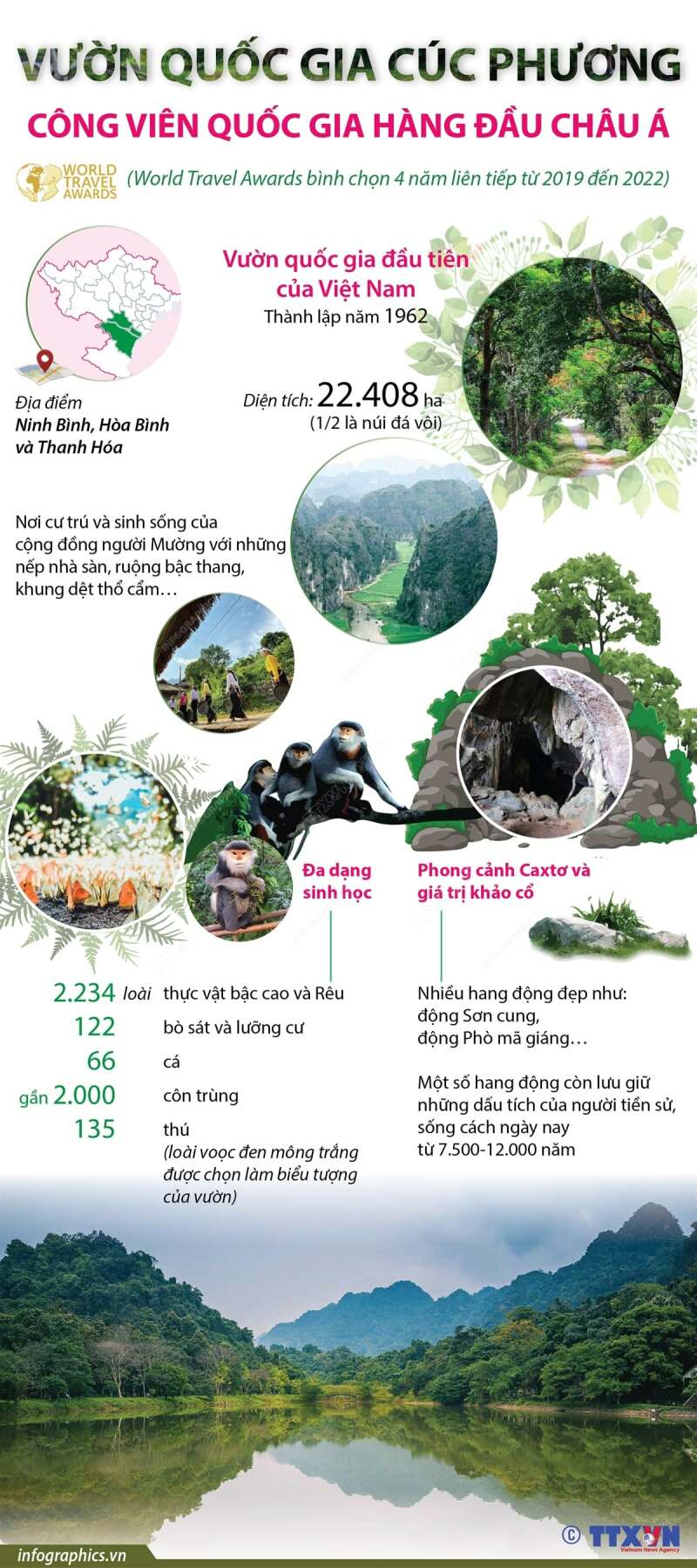 TOP 20 Thiết kế poster hoặc inforgraphic để giới thiệu vẻ đẹp của Vườn Quốc gia Cúc Phương (ảnh 2)