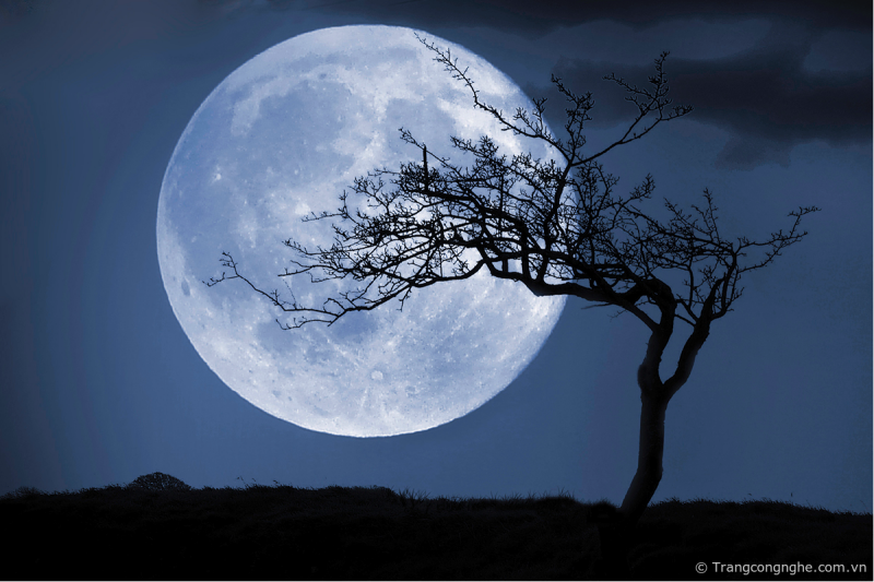 TOP 10 bài Tả một đêm trăng đẹp lớp 5 SIÊU HAY (ảnh 2)