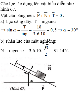 Bài tập về xác định trọng tâm của vật rắn chọn lọc, có đáp án (ảnh 2)