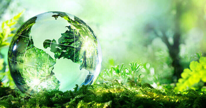 TOP 10 bài Thảo luận theo chủ đề Vì môi trường xanh 2024 SIÊU HAY (ảnh 2)