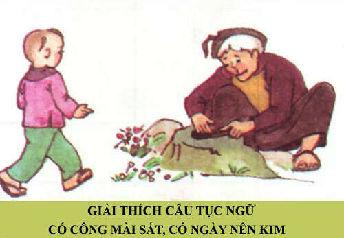 TOP 10 Đoạn văn cảm nghĩ về một câu tục ngữ mà em đã học ở Bài 4 SIÊU HAY (ảnh 2)