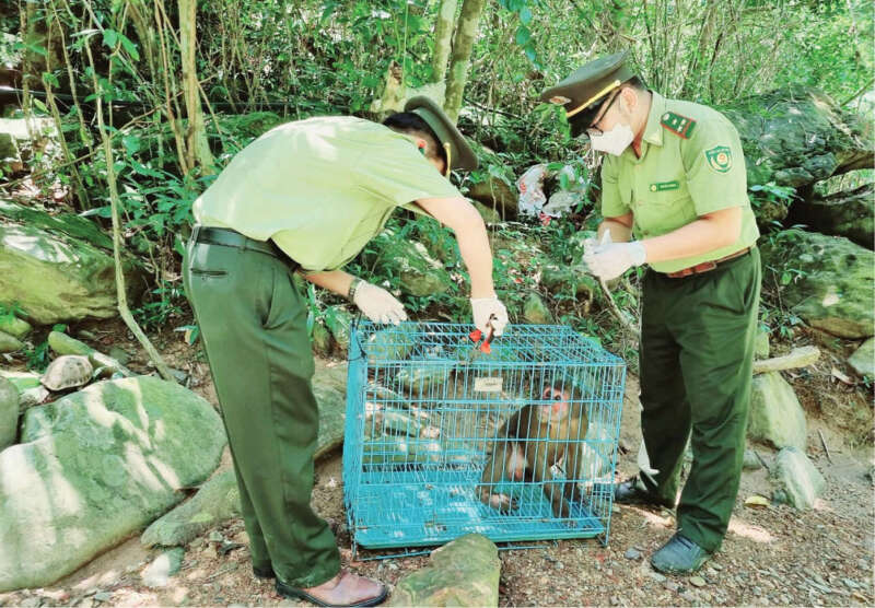 TOP 10 Ba điều nên làm và không nên làm khi đến khu bảo tồn động vật, thực vật (ảnh 2)