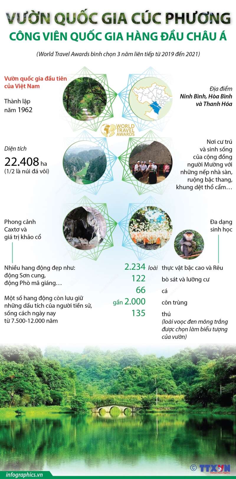 TOP 20 Thiết kế poster hoặc inforgraphic để giới thiệu vẻ đẹp của Vườn Quốc gia Cúc Phương (ảnh 3)