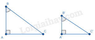 Lý thuyết Các trường hợp đồng dạng của hai tam giác vuông (Kết nối tri thức 2023) hay, chi tiết | Lý thuyết Toán lớp 8 (ảnh 1)