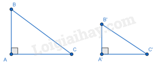 Lý thuyết Các trường hợp đồng dạng của hai tam giác vuông (Kết nối tri thức 2023) hay, chi tiết | Lý thuyết Toán lớp 8 (ảnh 2)