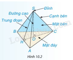 Lý thuyết Hình chóp tam giác đều (Kết nối tri thức 2023) hay, chi tiết | Lý thuyết Toán lớp 8 (ảnh 1)