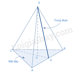 Lý thuyết Hình chóp tam giác đều (Kết nối tri thức 2023) hay, chi tiết | Lý thuyết Toán lớp 8 (ảnh 2)