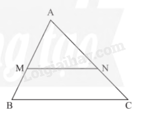 Lý thuyết Hai tam giác đồng dạng (Chân trời sáng tạo 2023) hay, chi tiết | Lý thuyết Toán lớp 8 (ảnh 3)