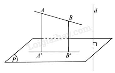 Lý thuyết Đường thẳng vuông góc với mặt phẳng (Chân trời sáng tạo 2024) hay, chi tiết | Toán lớp 11 (ảnh 4)