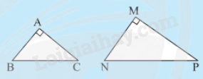 Lý thuyết Trường hợp đồng dạng thứ nhất của tam giác (Cánh diều 2023) hay, chi tiết | Lý thuyết Toán lớp 8 (ảnh 2)