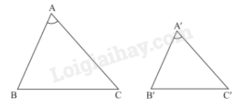 Lý thuyết Trường hợp đồng dạng thứ hai của tam giác (Cánh diều 2023) hay, chi tiết | Lý thuyết Toán lớp 8 (ảnh 1)