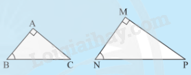 Lý thuyết Trường hợp đồng dạng thứ ba của tam giác (Cánh diều 2023) hay, chi tiết | Lý thuyết Toán lớp 8 (ảnh 2)