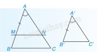 Lý thuyết Ba trường hợp đồng dạng của hai tam giác (Kết nối tri thức 2023) hay, chi tiết | Lý thuyết Toán lớp 8 (ảnh 2)