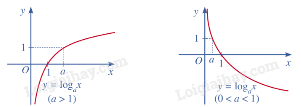 Lý thuyết Hàm số mũ. Hàm số lôgarit (Cánh diều 2024) hay, chi tiết | Toán lớp 11 (ảnh 4)