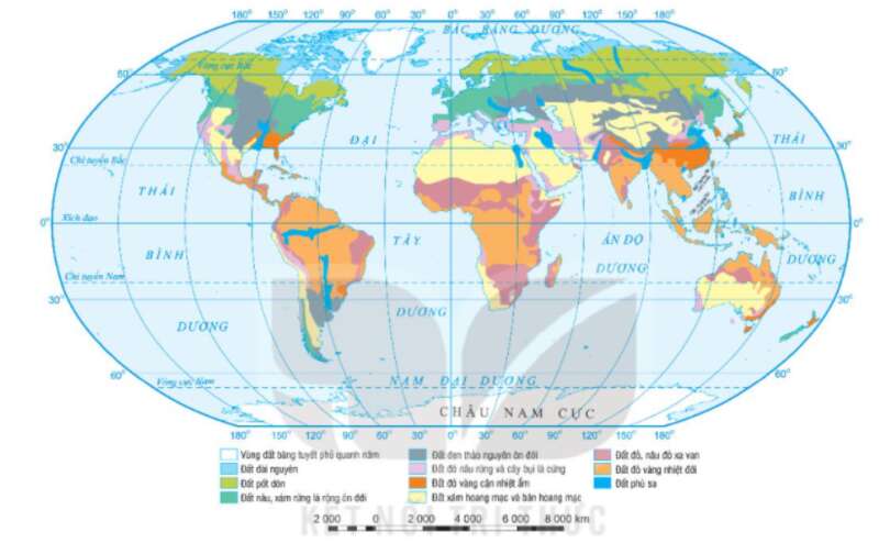 Giáo án Thực hành: Tìm hiểu sự phân bố đất và sinh vật trên Trái Đất (Kết nối tri thức) 2023| Địa lí 10 (ảnh 3)