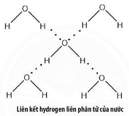 Giáo án Liên kết hydrogen và tương tác van der waals (Chân trời sáng tạo) 2023| Hóa học 10 (ảnh 1)