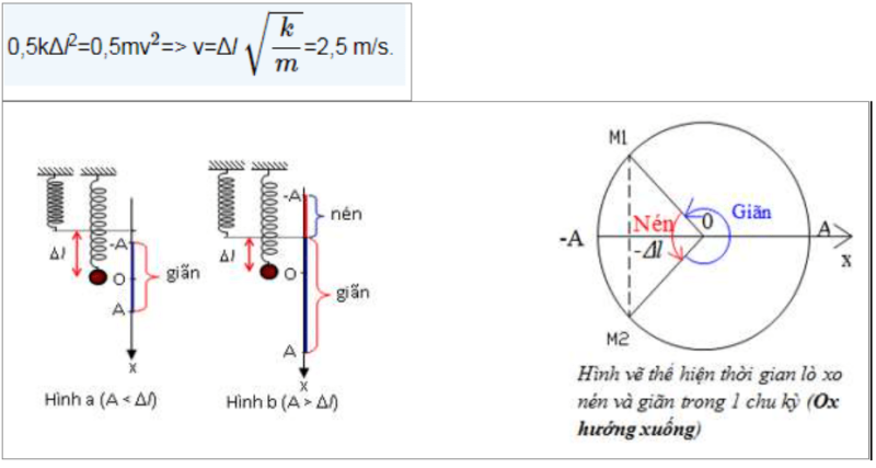 20 Bài tập Thế năng con lắc lò xo có lời giải chi tiết (ảnh 6)