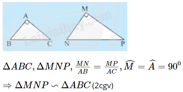 Lý thuyết Các trường hợp đồng dạng của hai tam giác vuông (Chân trời sáng tạo 2023) hay, chi tiết | Lý thuyết Toán lớp 8 (ảnh 2)
