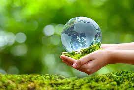 TOP 10 bài Bài văn kể lại hoạt động bảo vệ thiên nhiên, môi trường 2023 SIÊU HAY (ảnh 4)