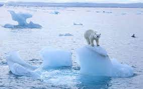 TOP 10 bài Văn bản thuyết minh giải thích hiện tượng biến đổi khí hậu và các hệ lụy của nó 2023 SIÊU HAY (ảnh 1)