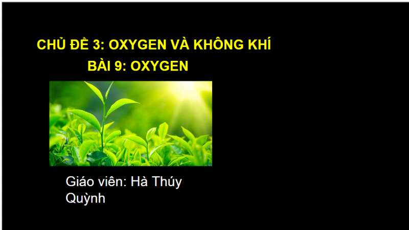 Bài giảng điện tử Oxygen | Giáo án PPT KHTN 6 Chân trời sáng tạo (ảnh 2)