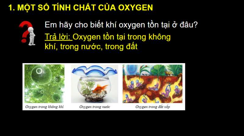 Bài giảng điện tử Oxygen | Giáo án PPT KHTN 6 Chân trời sáng tạo (ảnh 4)