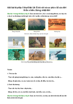 Giải SGK Địa lí 6 Bài 20 (Chân trời sáng tạo): Sinh vật và sự phân bố các đới thiên nhiên. Rừng nhiệt đới