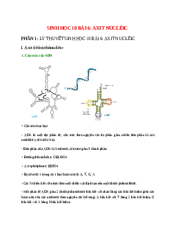 Sinh học 10 Bài 6 (Lý thuyết và trắc nghiệm): Axit nuclêic