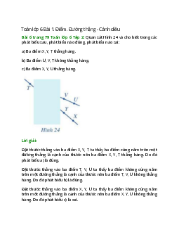 Bài 6 trang 79 Toán 6 Tập 2 | Cánh diều Giải toán lớp 6