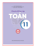 Toán lớp 11 Chuyên đề học tập Toán Kết nối tri thức pdf