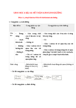 Lý thuyết Sinh học 8 Bài 48 (mới 2023 + 11 câu trắc nghiệm): Hệ thần kinh sinh dưỡng