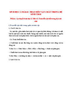 Lý thuyết Sinh học 12 Bài 43 (mới 2023 + 30 câu trắc nghiệm): Trao đổi vật chất trong hệ sinh thái