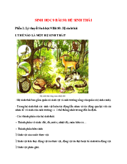 Lý thuyết Sinh học 9 Bài 50 (mới 2023 + 13 câu trắc nghiệm): Hệ sinh thái