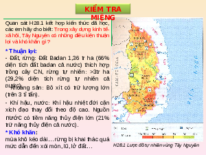 Giáo án Địa lí 9 Bài 29: Vùng Tây Nguyên
