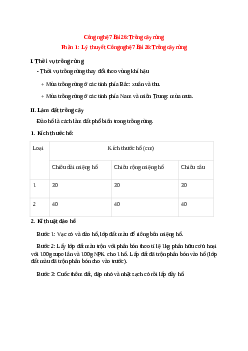 Công nghệ 7 Bài 26 (Lý thuyết và trắc nghiệm): Trồng cây rừng