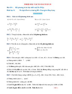 Phiếu bài tập tuần 29 - Toán 8