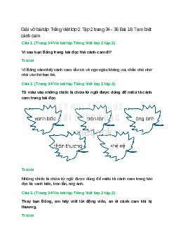 Vở bài tập Tiếng Việt lớp 2 Tập 2 trang 34, 35, 36 Bài 16: Tạm biệt cánh cam – Kết nối tri thức