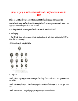 Lý thuyết Sinh học 9 Bài 23 (mới 2023 + 39 câu trắc nghiệm): Đột biến số lượng nhiễm sắc thể
