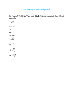 Viết số tự nhiên dưới dạng phân số (theo mẫu): 19 = 19/1