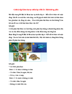 Giải SGK Khoa học tự nhiên 6 Bài 26 (Kết nối tri thức): Khóa lưỡng phân