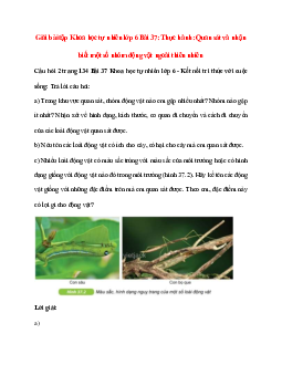 Trả lời câu hỏi: Trong khu vực quan sát, nhóm động vật nào em gặp nhiều nhất