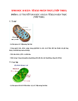 Sinh học 10 Bài 9 (Lý thuyết và trắc nghiệm): Tế bào nhân thực (tiếp theo)